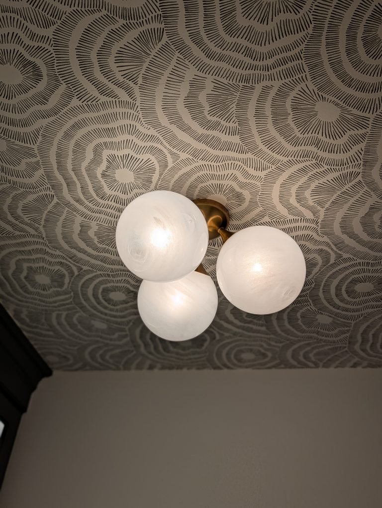 PXL_20260126_211701004.PORTRAIT